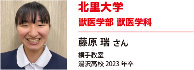 北里大学　獣医学部獣医学科