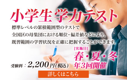 小学生学力テスト