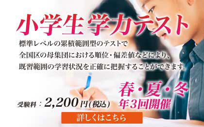 小学生学力テスト